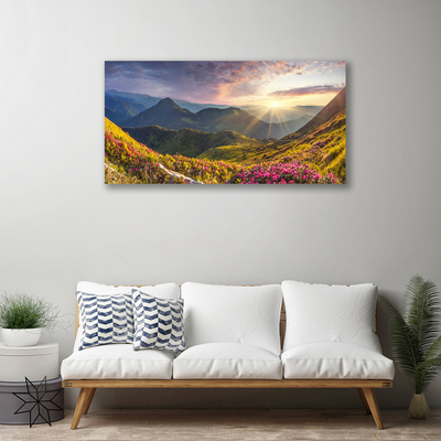 Quadro su tela Paesaggio del sole del prato di montagna