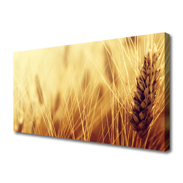 Quadro su tela Grano vegetale naturale