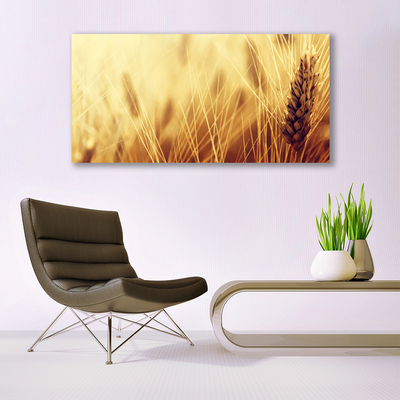 Quadro su tela Grano vegetale naturale