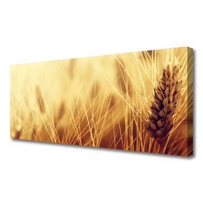 Quadro su tela Grano vegetale naturale