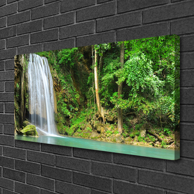 Quadro su tela Cascata della natura della foresta