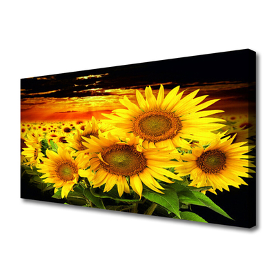 Quadro su tela Pianta di fiori di girasole