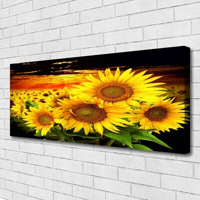 Quadro su tela Pianta di fiori di girasole