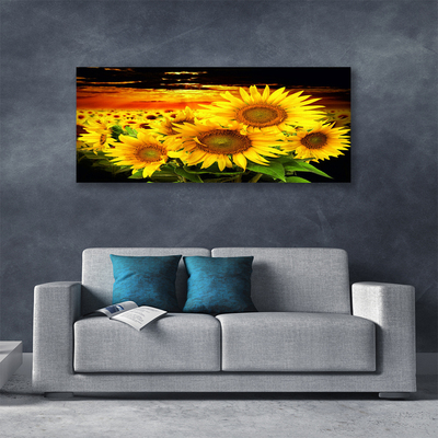 Quadro su tela Pianta di fiori di girasole