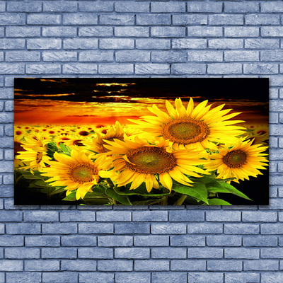 Quadro su tela Pianta di fiori di girasole