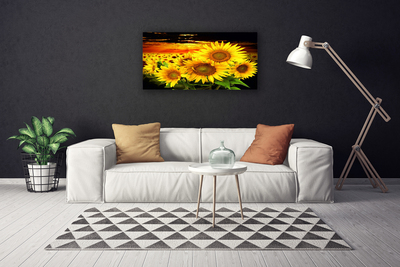 Quadro su tela Pianta di fiori di girasole