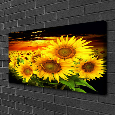 Quadro su tela Pianta di fiori di girasole