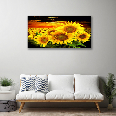 Quadro su tela Pianta di fiori di girasole