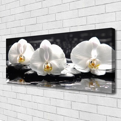 Quadro su tela Fiore di orchidea bianca