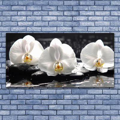 Quadro su tela Fiore di orchidea bianca