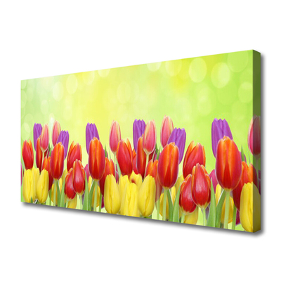 Quadro su tela Tulipani, fiori, piante