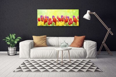 Quadro su tela Tulipani, fiori, piante