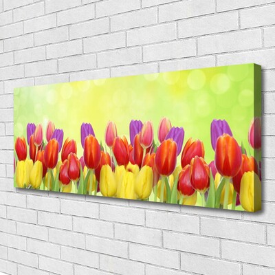 Quadro su tela Tulipani, fiori, piante