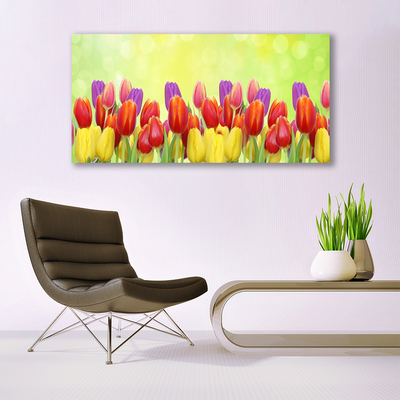 Quadro su tela Tulipani, fiori, piante