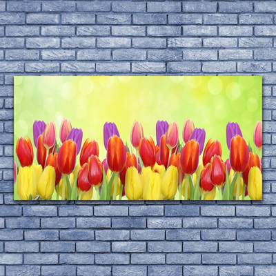 Quadro su tela Tulipani, fiori, piante