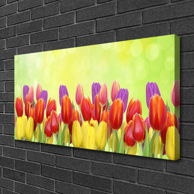 Quadro su tela Tulipani, fiori, piante