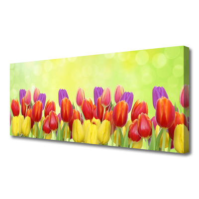 Quadro su tela Tulipani, fiori, piante