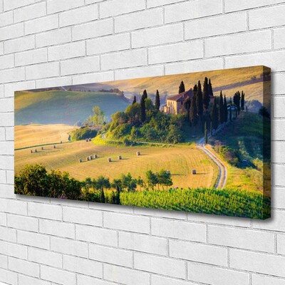 Quadro su tela Campo di alberi del paesaggio