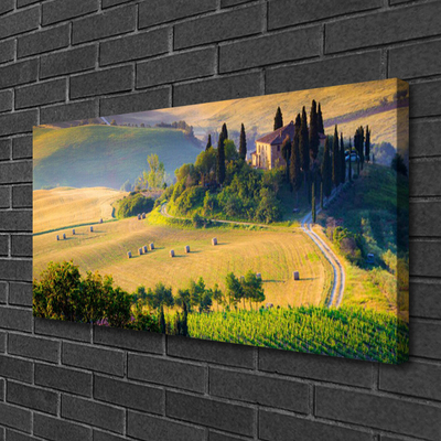 Quadro su tela Campo di alberi del paesaggio