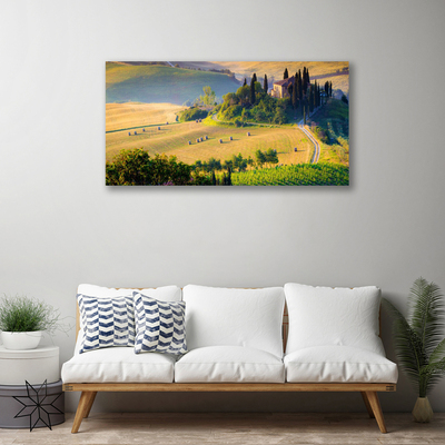 Quadro su tela Campo di alberi del paesaggio