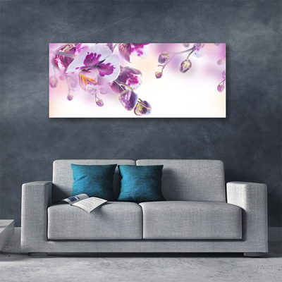 Foto quadro su tela Fiori, piante, natura