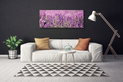 Quadro su tela Fiori, piante, natura