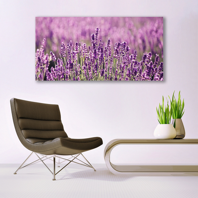 Quadro su tela Fiori, piante, natura