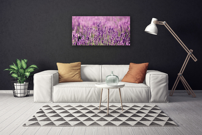 Quadro su tela Fiori, piante, natura