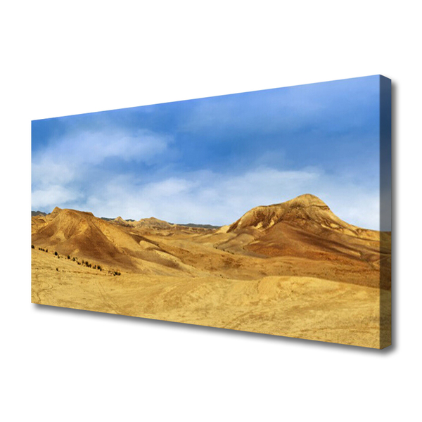 Quadro su tela Paesaggio delle colline del deserto