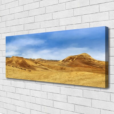 Quadro su tela Paesaggio delle colline del deserto