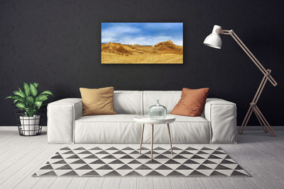 Quadro su tela Paesaggio delle colline del deserto