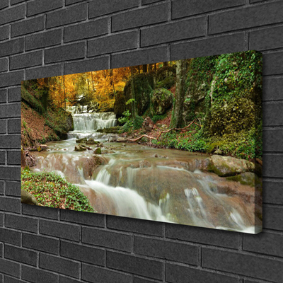 Stampa quadro su tela Cascata della natura della foresta