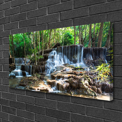 Quadro su tela Cascata della natura della foresta