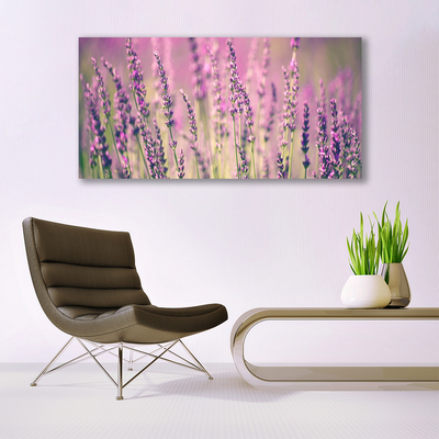 Quadro su tela Fiori, piante, natura