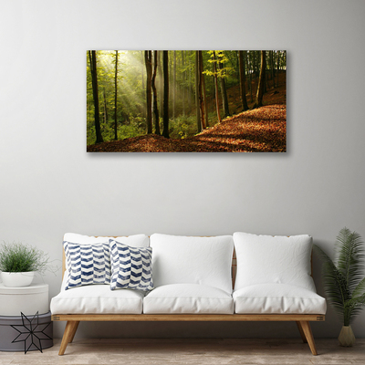 Quadro su tela Foresta, alberi, natura