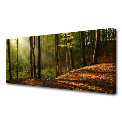 Quadro su tela Foresta, alberi, natura