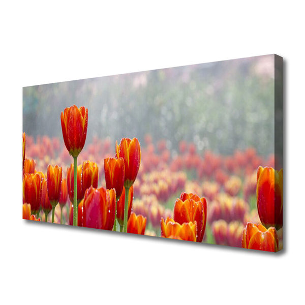 Quadro su tela Tulipani, fiori, piante