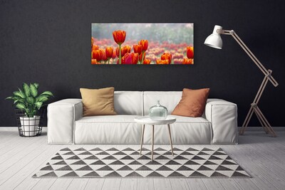 Quadro su tela Tulipani, fiori, piante