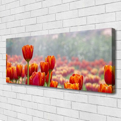 Quadro su tela Tulipani, fiori, piante