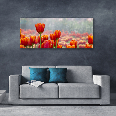 Quadro su tela Tulipani, fiori, piante