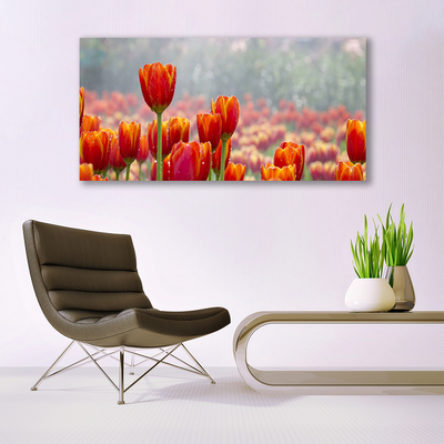 Quadro su tela Tulipani, fiori, piante