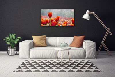 Quadro su tela Tulipani, fiori, piante