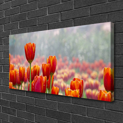 Quadro su tela Tulipani, fiori, piante