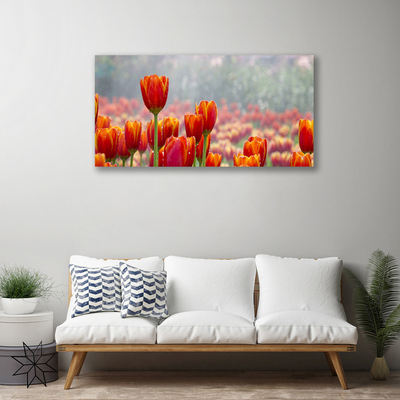 Quadro su tela Tulipani, fiori, piante