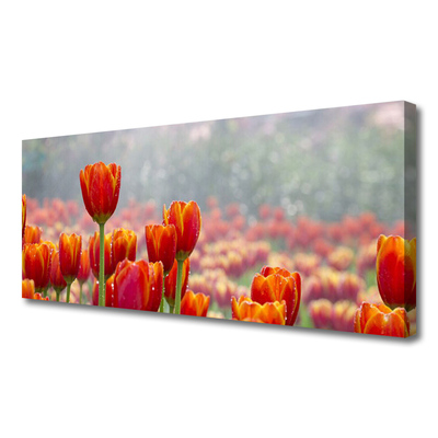 Quadro su tela Tulipani, fiori, piante