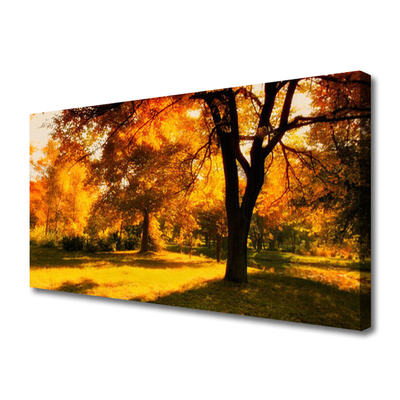 Quadro su tela Alberi, Autunno, Natura