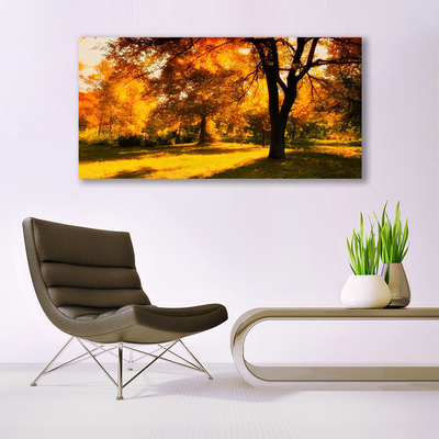 Quadro su tela Alberi, Autunno, Natura