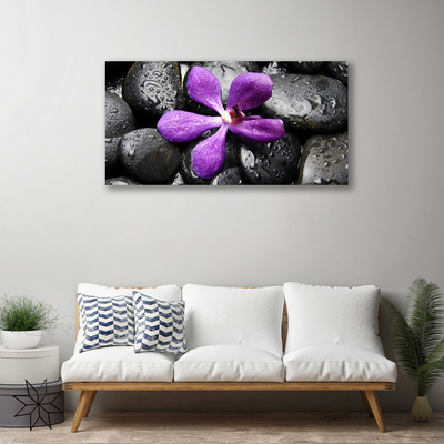 Quadro su tela Pietre di fiori Art