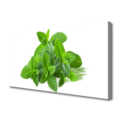 Quadro su tela Natura vegetale di menta