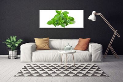 Quadro su tela Natura vegetale di menta